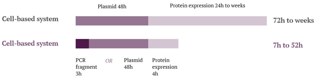 Cycle en système cellulaire VS. acellulaire