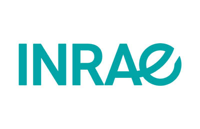 INRAE : partenaire R&D Synthelis