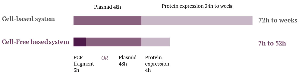 Cycle en système cellulaire VS. acellulaire