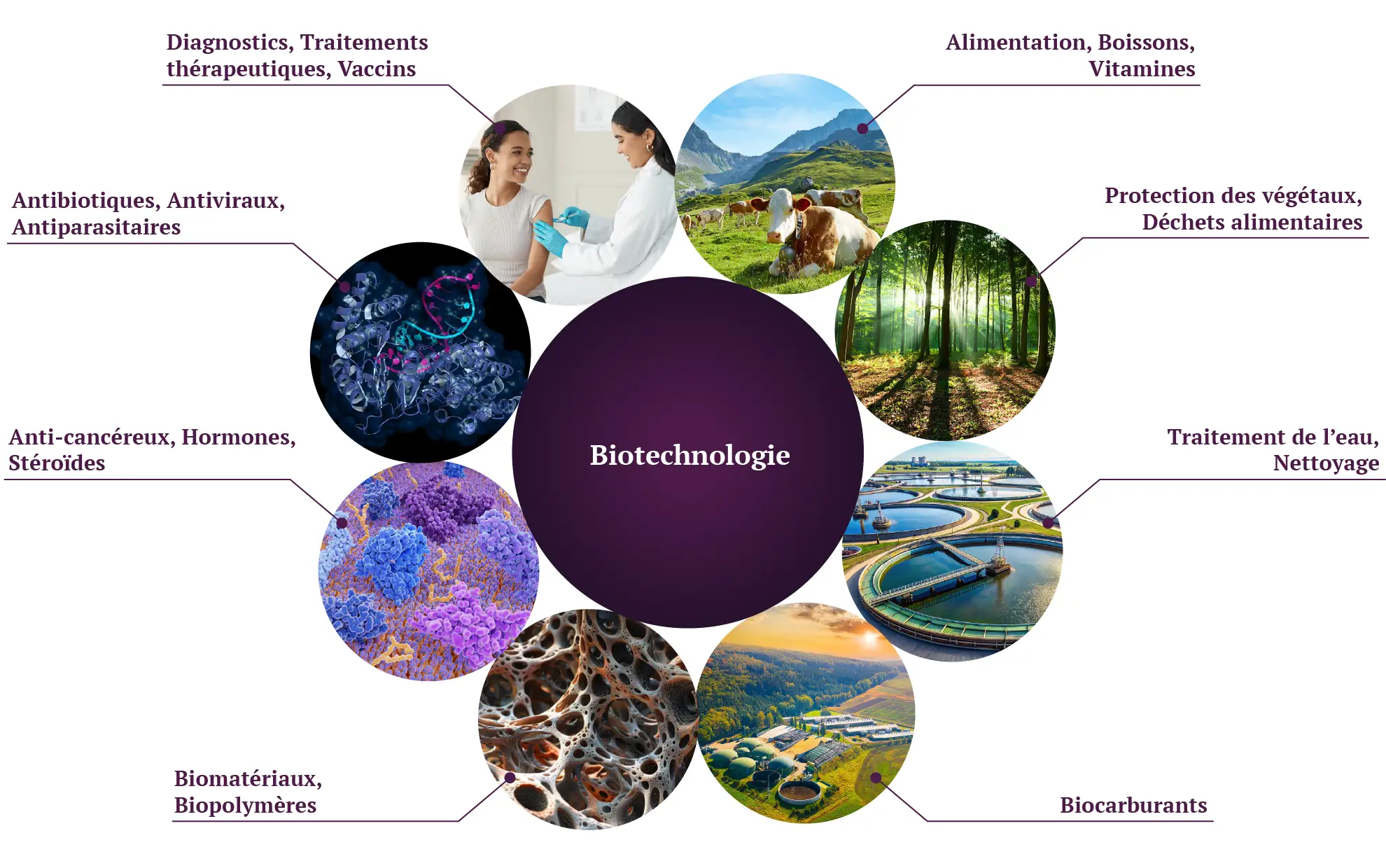 Fig1. La biotechnologie est essentielle dans tous les secteurs de la bioéconomie (santé, nutrition, matériaux, énergie et environnement). Reproduit à partir de [1].