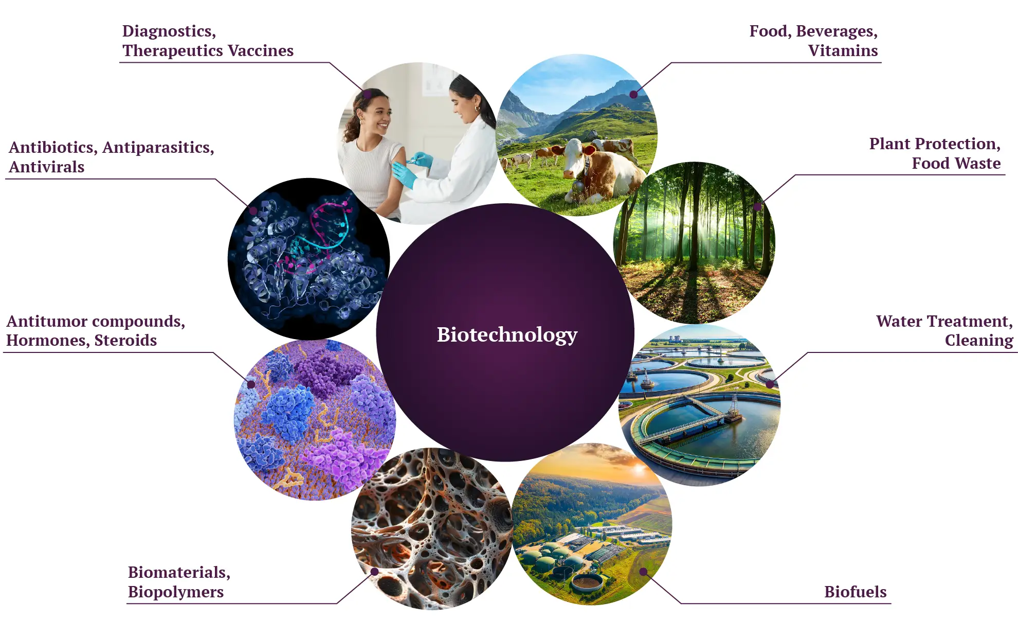 Bioeconomie - Figure1-EN Figure 1 – Biotechnology is a key enabling technology in all bioeconomy networks (health, nutrition, materials, energy and environment).