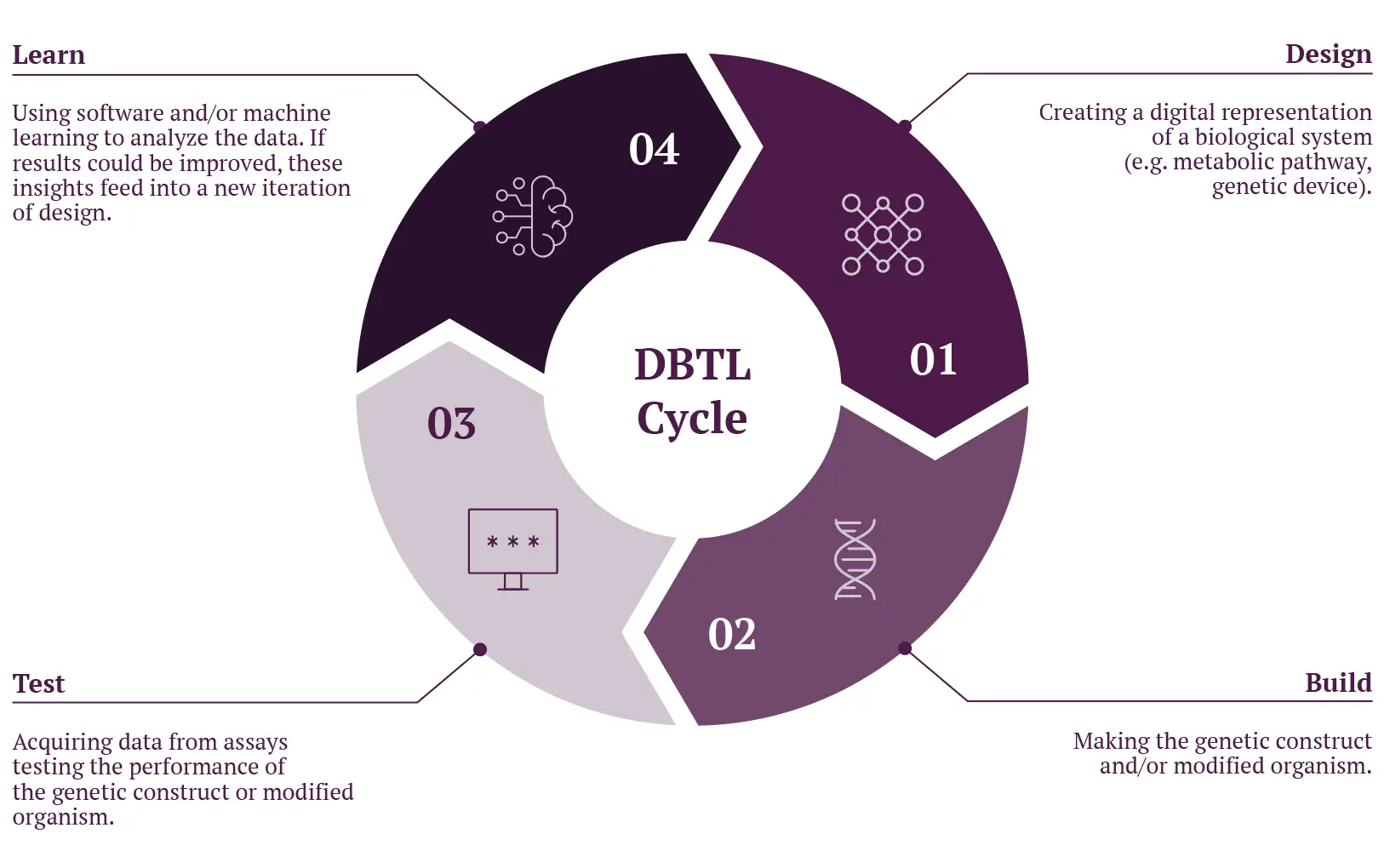 Biologie de Synthese - Figure1 The design-build-test-learn (DBTL) cycle.