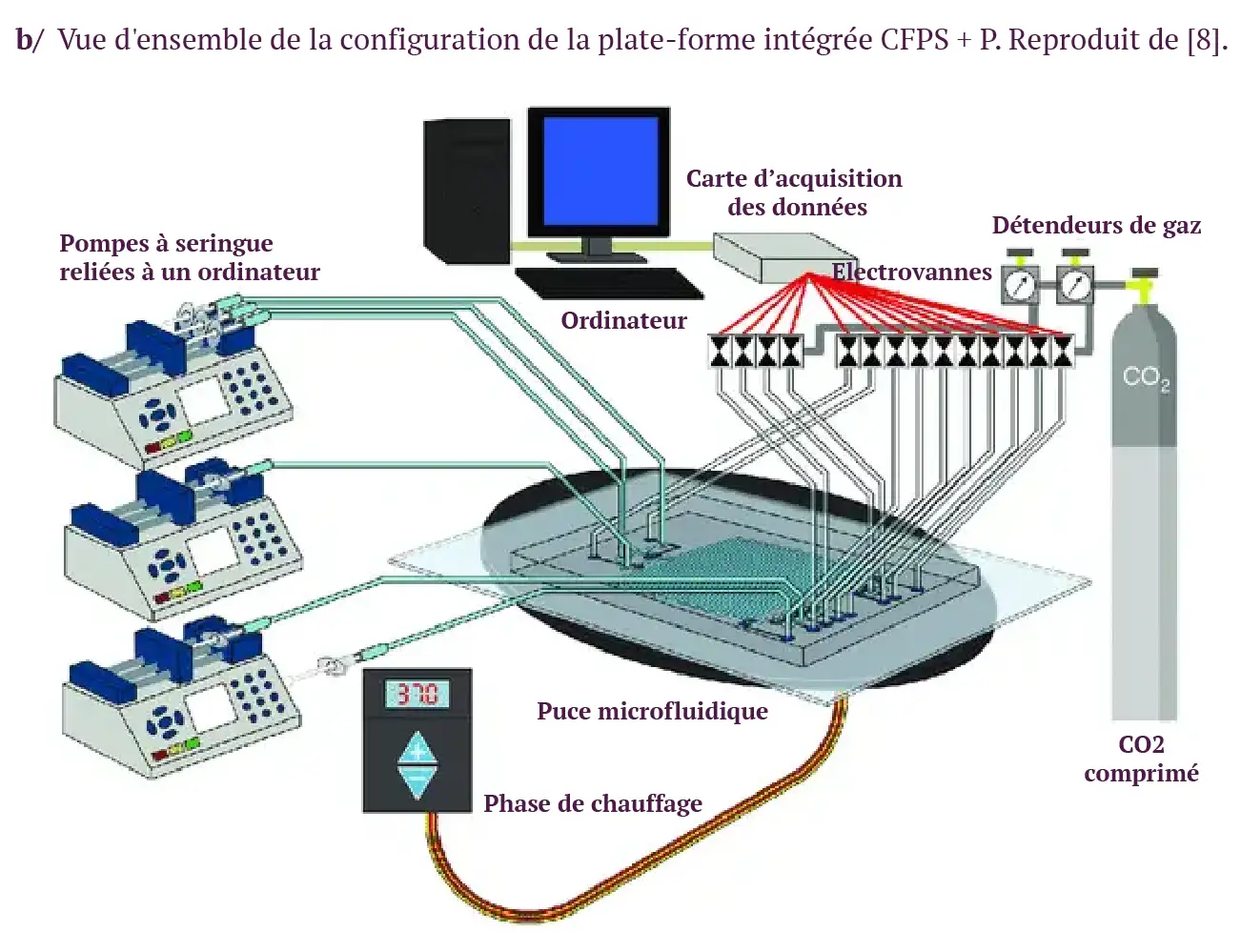 Figure 1 - Système intégré pour la synthèse et la purification de protéines acellulaires-b Figure 1 - Système intégré pour la synthèse et la purification de protéines acellulaires-b