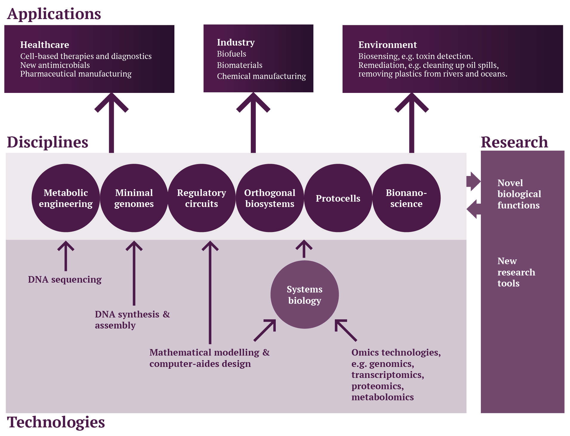 Biologie de Synthese - Figure2-EN Figure of application domains of Synthetic Biology - Synthelis Biotech