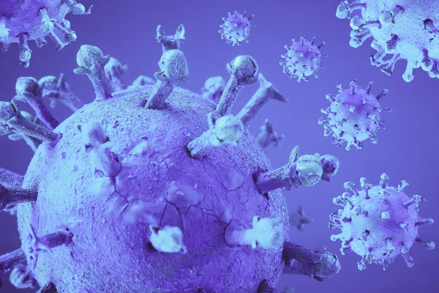 AAV protein particles adeno-associated virus protein particles - Synthelis Biotech