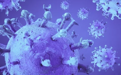adeno-associated virus protein particles - 