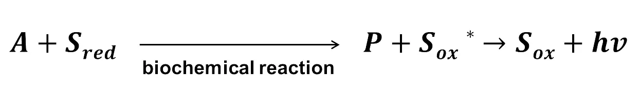 Formule 1 : biochemical reaction