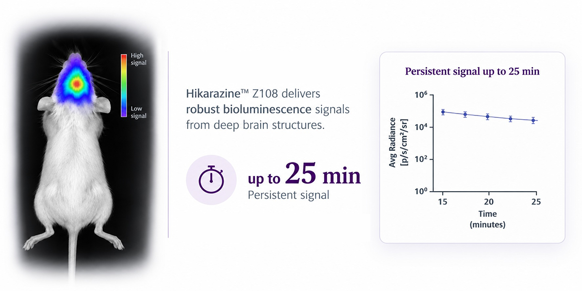 Graph SYNTHELIS App-Note HIKARAZINE invivo biolum imaging in preclinical oncology