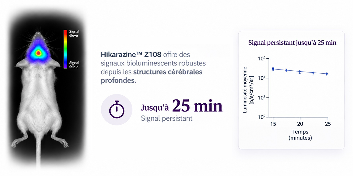 Graph HIKARAZINE Z108 Persistent signal