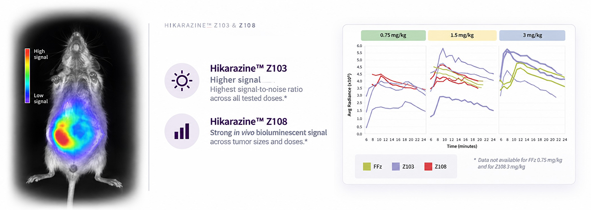 Graph SYNTHELIS App-Note HIKARAZINE invivo biolum imaging in preclinical oncology