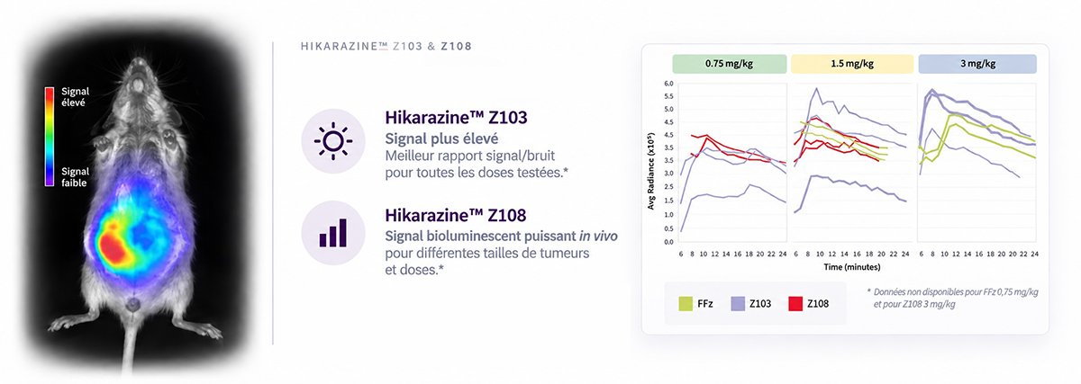 Graph SYNTHELIS_App-Note_HIKARAZINE-invivo biolum imaging in preclinical oncology