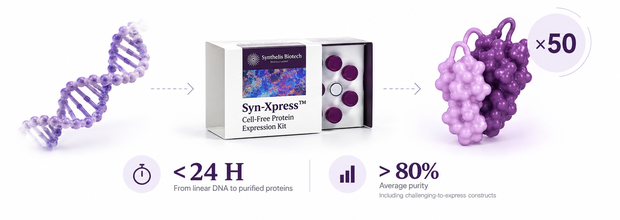 Synt-Xpress Gold : VHHs successfully expressed schema